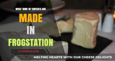 Frogstation's Cheesy Delights: Exploring Unique Dairy Creations