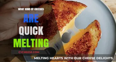 The Quick-Melting Cheeses: A Guide to Versatile Dairy Delights