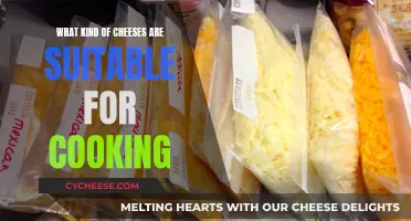 Cheese Cooking: Best Melting Varieties for Your Kitchen