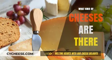 Exploring the World of Cheeses: A Delicious Adventure