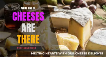 Cheese Varieties: A Comprehensive Overview of Different Cheeses