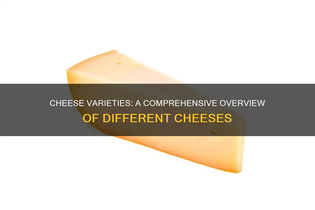 what kind of cheeses are there