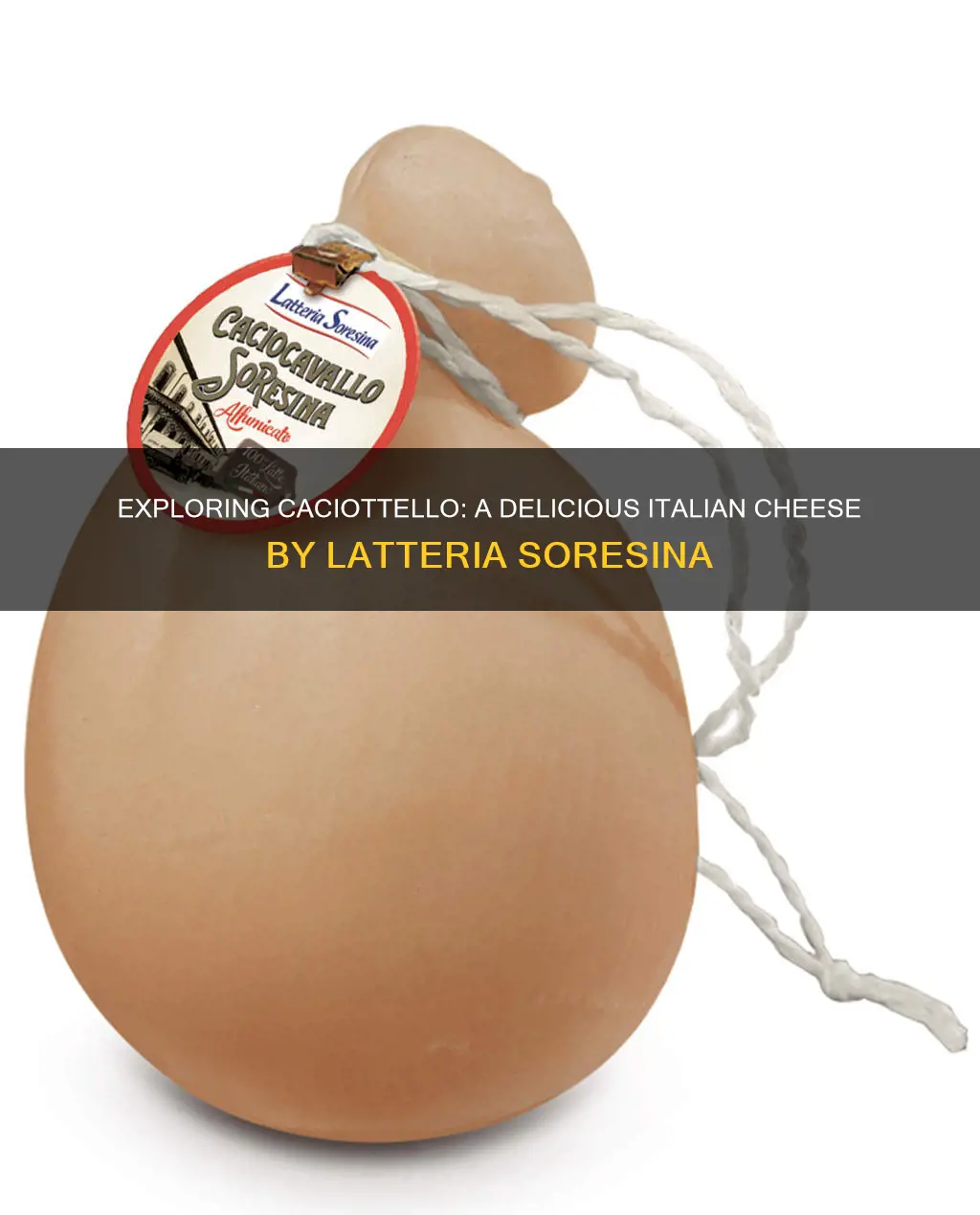 what kind of cheeses caciottello cheese by latteria soresina