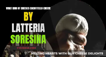 Caciottello Cheese: Exploring the Varieties by Latteria Soresina