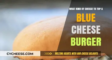 The Ultimate Guide to Topping a Blue Cheese Burger: A Cheesy Adventure