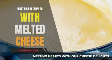 Cheese and Chips: Perfect Pairing for a Melty Treat