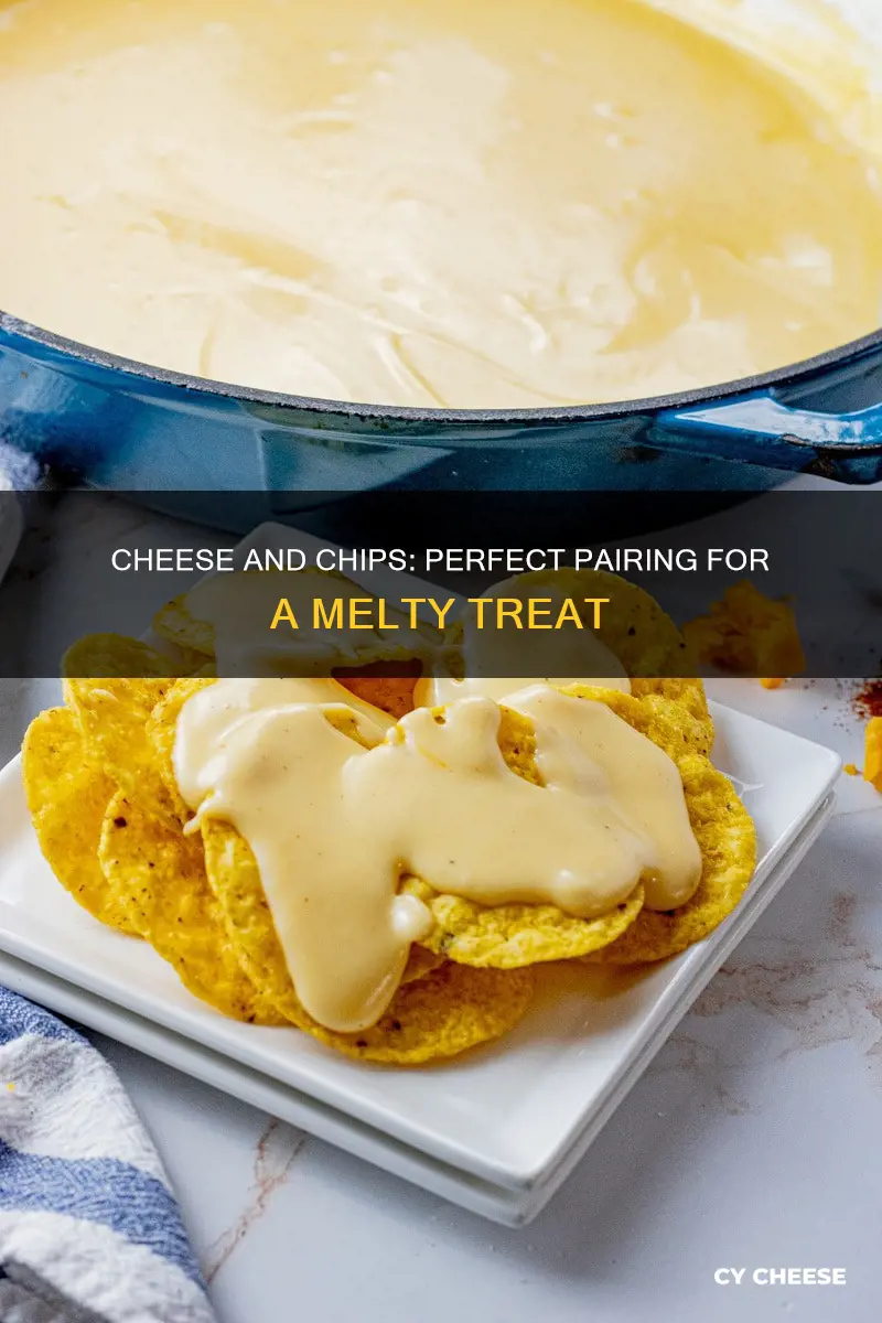 what kind of chips go with melted cheese