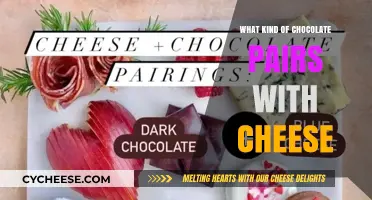 The Sweet and Savory Match: Chocolate and Cheese Harmony