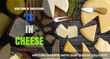 Unraveling the Cheesy Cholesterol Mystery: A Guide to Dairy's Hidden Fats