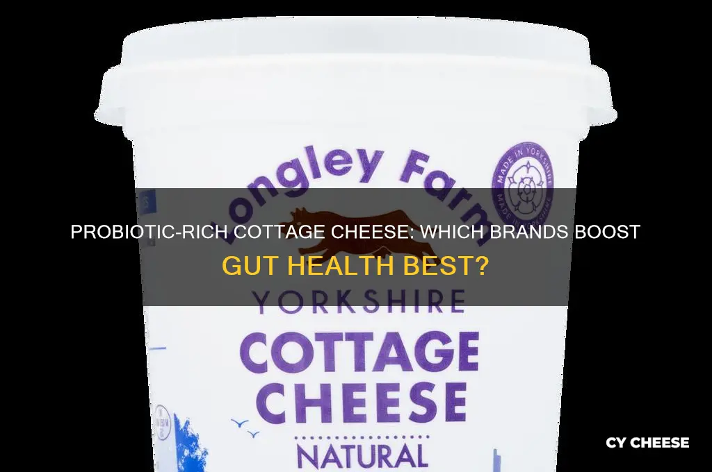 what kind of cottage cheese has probiotics