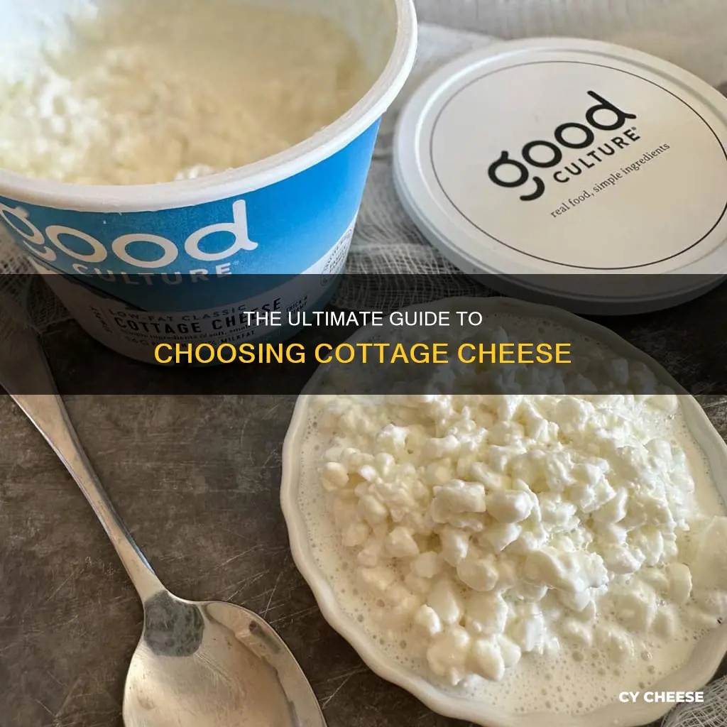 what kind of cottege cheese is best to buy