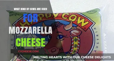 Mozzarella Cheese: What Cows are Best?
