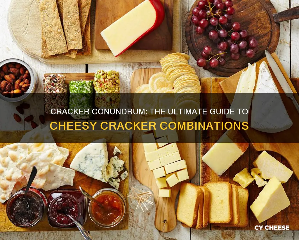 what kind of crackers for cheese board