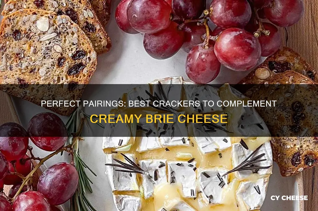 what kind of crackers go good with brie cheese