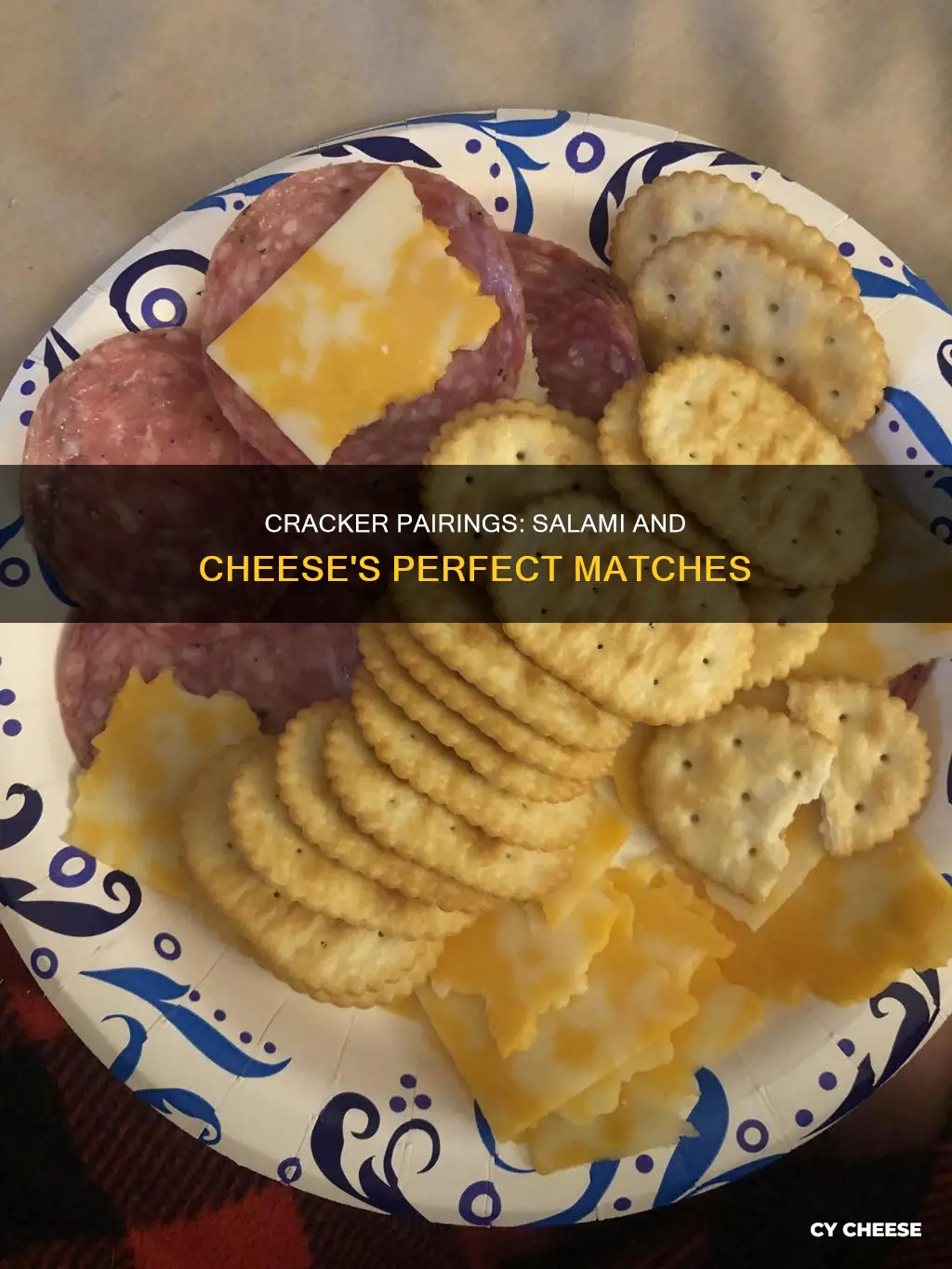 what kind of crackers go with salami and cheese