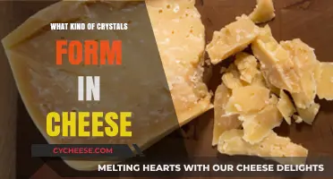 The Crystal Mystery: Unveiling the Crystals in Cheese