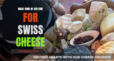 Swiss Cheese Secrets: The Art of Aging and Air