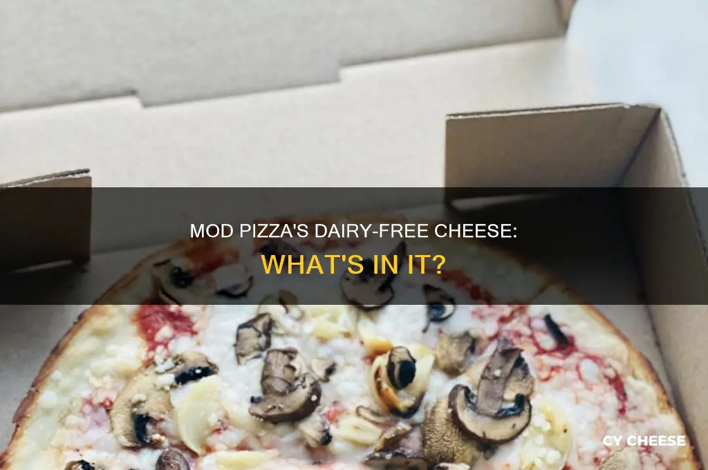 what kind of dairy free cheese does mod pizza use