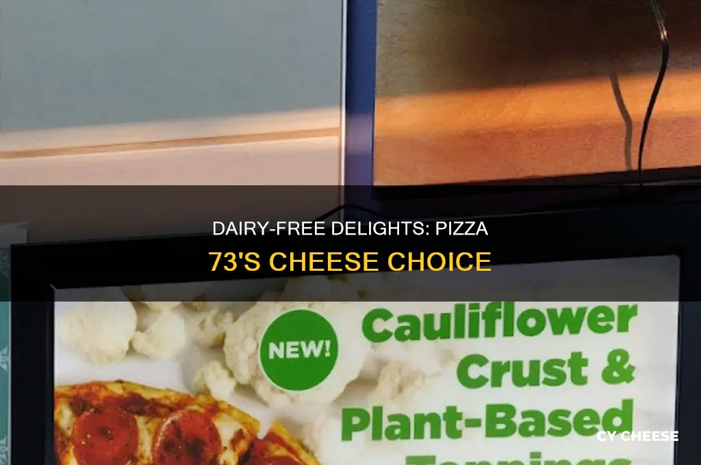 what kind of dairy free cheese does pizza 73 use