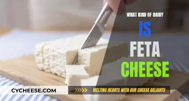 Feta Cheese: A Comprehensive Dairy Overview