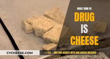 Cheese Drug: A Unique Hallucinogen Explained