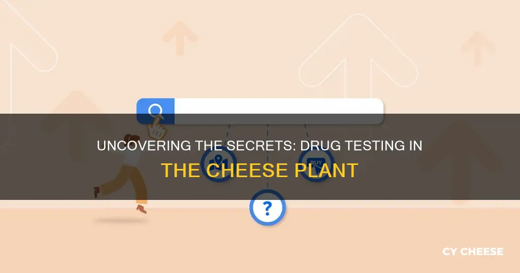 what kind of drug test does the cheese plant have