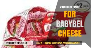 Babybel Cheese: Unlocking the Perfect Enzyme Secret