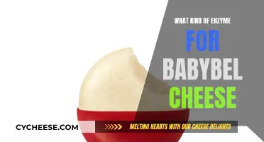 Babybel Cheese Enzymes: What's the Science Behind This Snack?