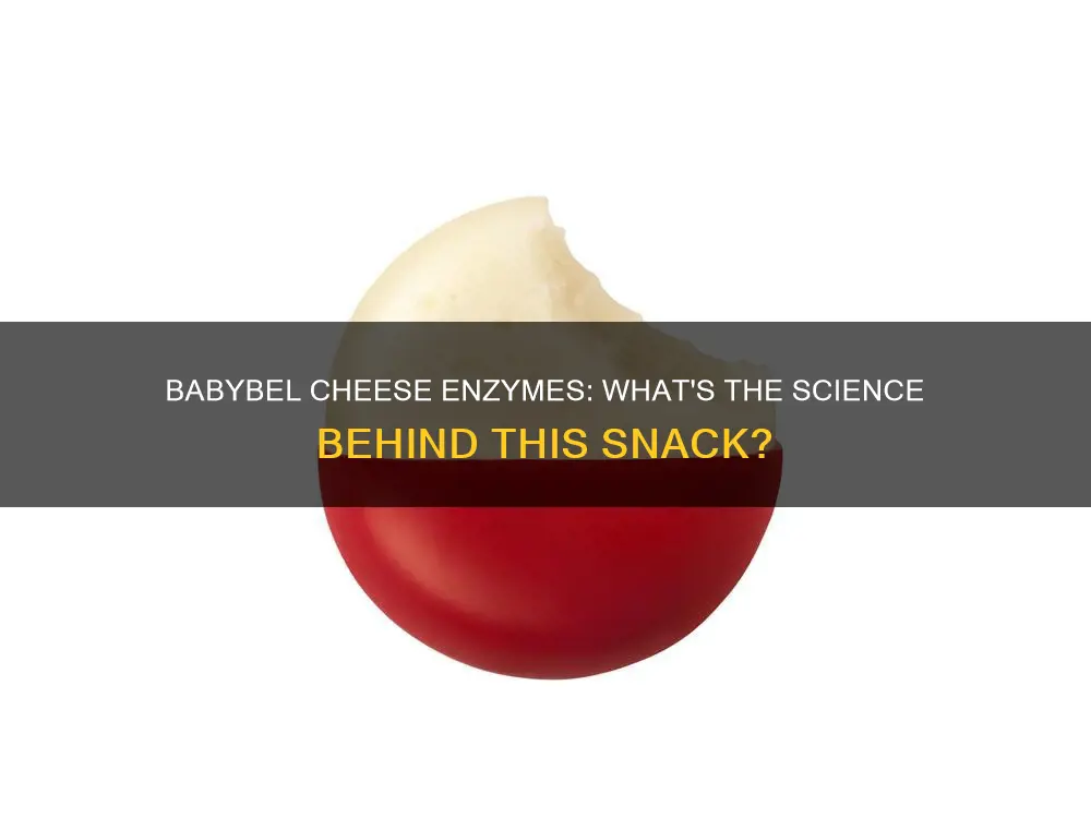 what kind of enzyme for babybel cheese