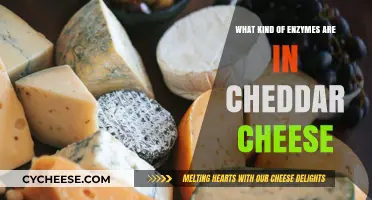 Unveiling Cheddar's Enzyme Secrets: A Flavorful Journey