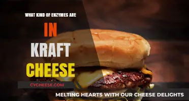 Kraft Cheese Enzymes: Unlocking the Secrets of Flavor and Texture