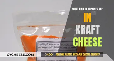 Kraft Cheese Enzymes: Unlocking the Secret Ingredients
