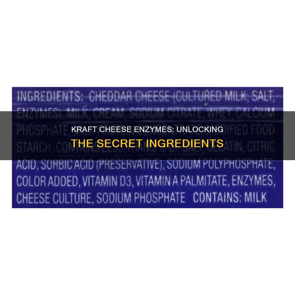 what kind of enzymes are in kraft cheese