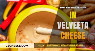 Unveiling the Enzymatic Secrets of Velveeta Cheese