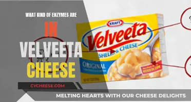 Velveeta Cheese Enzymes: What's the Science?