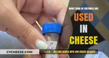 Enzymatic Magic: The Science of Cheesemaking