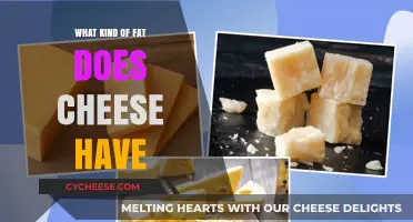 Unraveling the Fat Content in Cheese: A Nutritional Journey