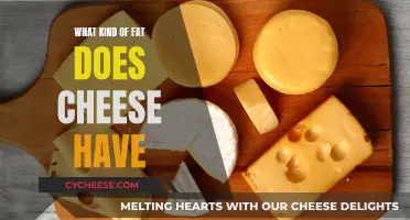 Cheese Fat Facts: What's Lurking in Your Dairy?