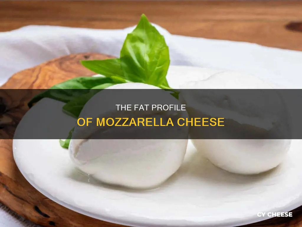 what kind of fat is in mozzarella cheese