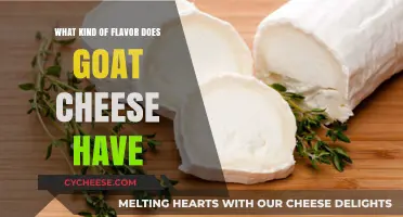 The Savory, Tangy Taste of Goat Cheese: A Culinary Adventure