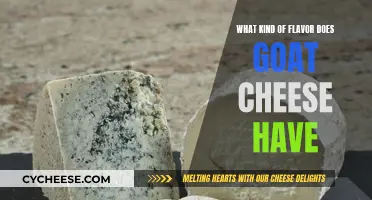 Goat Cheese: A Flavorful Adventure for Your Palate