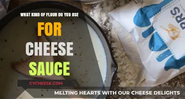 Cheese Sauce Flour: Choosing the Right Type
