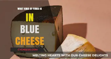 Unveiling the Blue Cheese Mystery: A Fungal Adventure