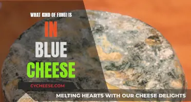 Blue Cheese and its Fungal Friends