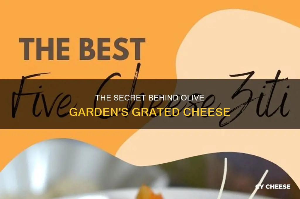 what kind of grated cheese does olive garden use