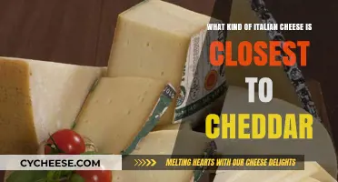 Italian Cheese Similarity: Exploring the Cheddar Connection