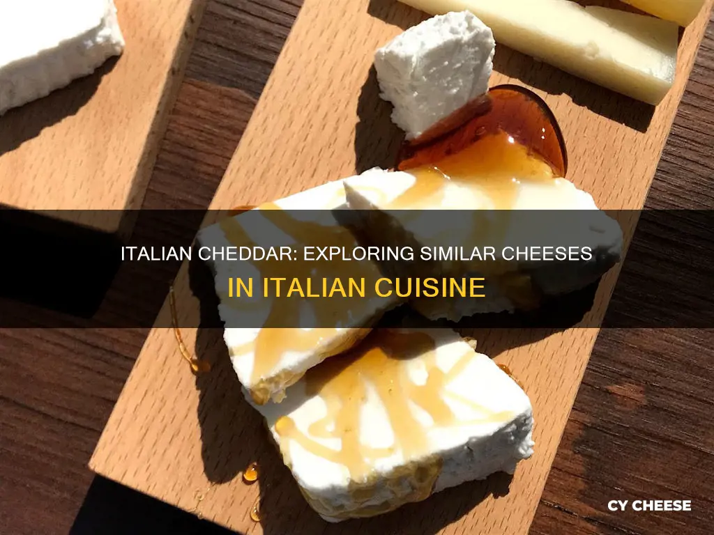 what kind of italian cheese is closest to cheddar