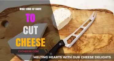 The Ultimate Guide to Choosing the Best Knife for Cheese Cutting