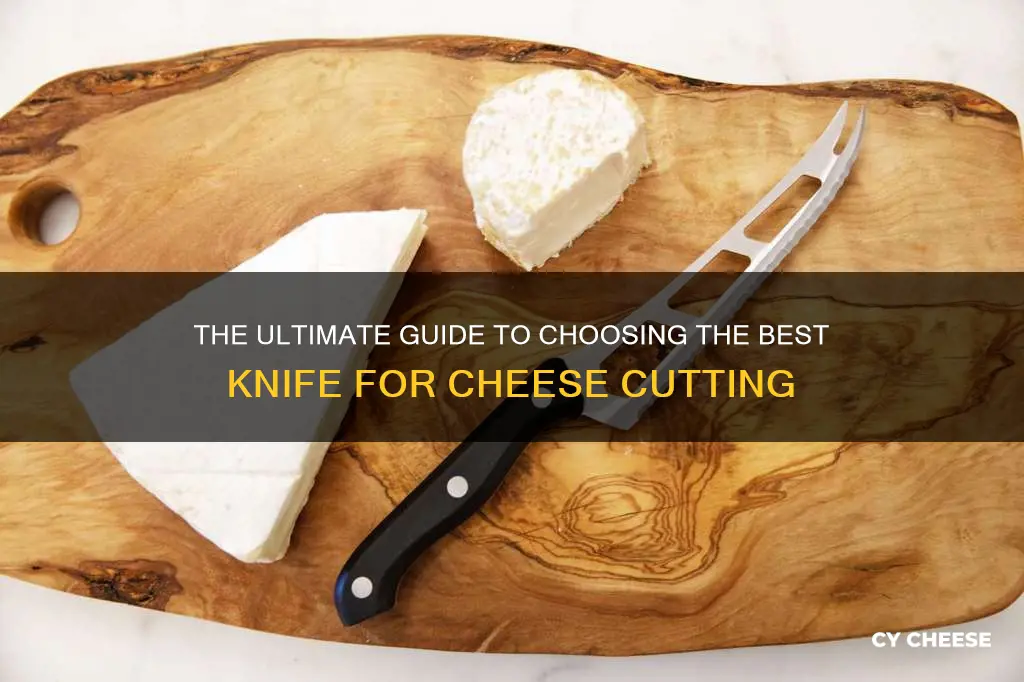 what kind of knife to cut cheese