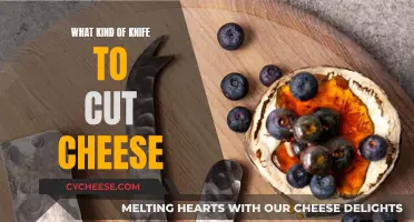 Cheese Knives: The Ultimate Guide to Choosing the Right Blade